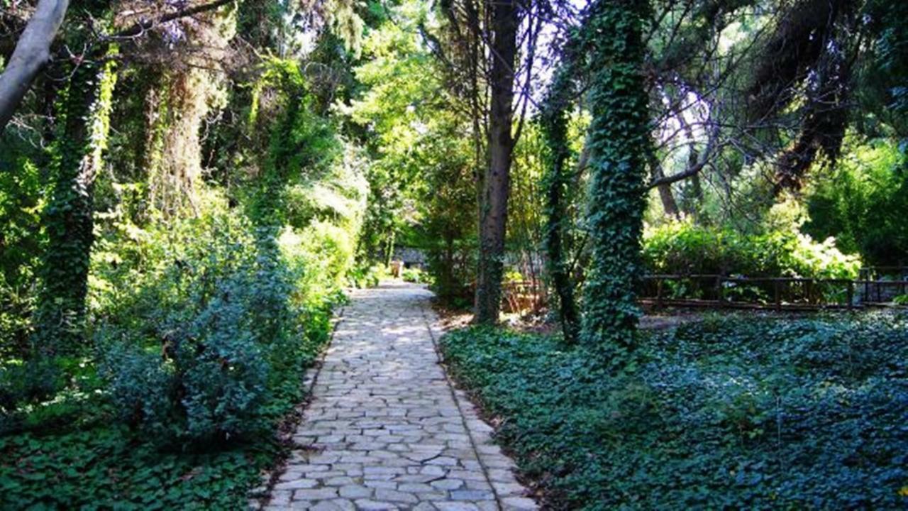 Greek Hospitality Athene